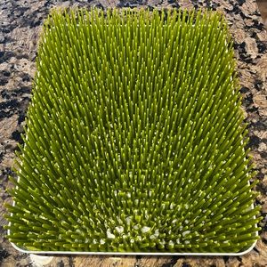 Boon 11 x 13 Inch Grass